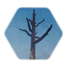 Dead Tree Type 1
