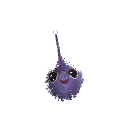 Jarrhn