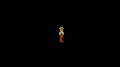 My Animations