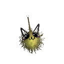 Catkita