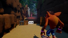 Crash Bandicoot: Gorge of The Beach