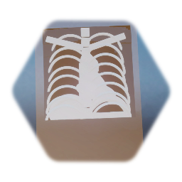 Chest radiography v2