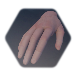 Realistic hand of Aecert
