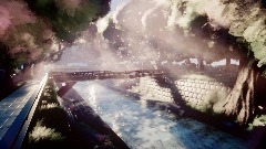 Cherry Blossoms in March