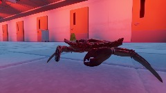 Crab Rave
