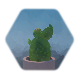 Cactus 02