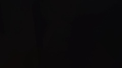 21 century humor's Die 'N' Large