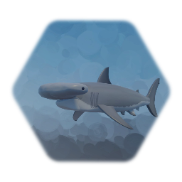 Hammerhead Shark