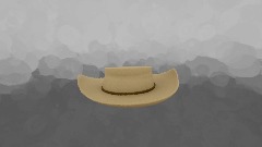 Cowboy hat