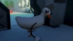 Kiwi vs duck 10