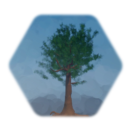 Pine  Tree
