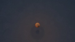 A screenshot taken in Dreams. 5 of 30.