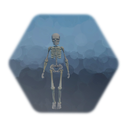 Skeleton Enemy