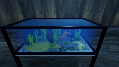 Aquarium