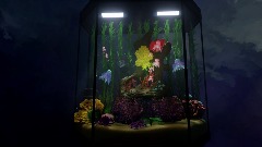 My aquarium