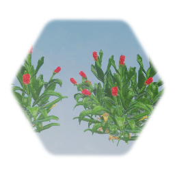 Red Ginger Tropical Flower