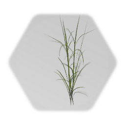 Detailed Grass Patch