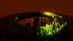 Wyatt Solo Win Concept - Damned