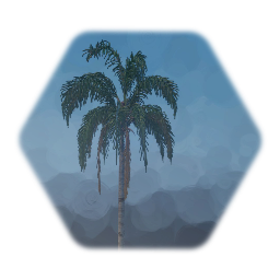 Piru Queen Palm Tree (swaying)