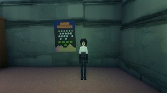 Ninja Strike: The Ted Leiberman Chapter