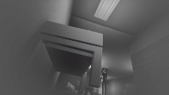 Cartoon cat survival