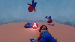 Ragdoll Test