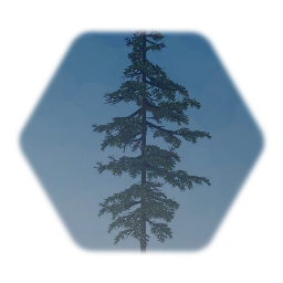 Realistic Douglas Fir Tree
