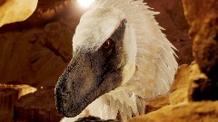 Velociraptor