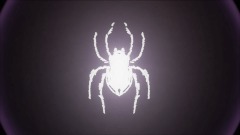 Spider 600