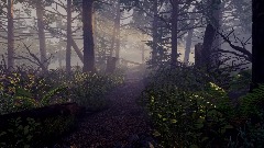 Demon Pine Forest