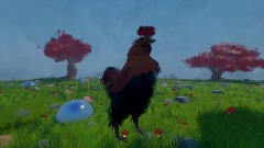 Chicken Egg Hunt Kerfuffle