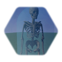 Skeleton enemy - Low thermo