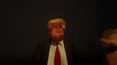 Should Trump Be Impeached (Voting Game)