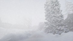 A screenshot taken in Dreams. 10 of 11.