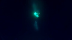 My epic stickman fight