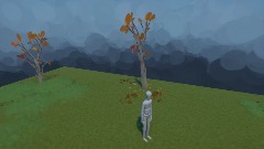Test Woodland