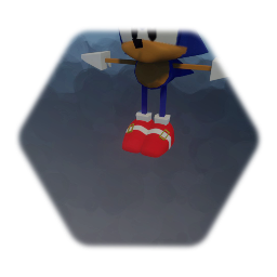 Ragdoll sonic