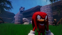 Knuckles Coin Collection