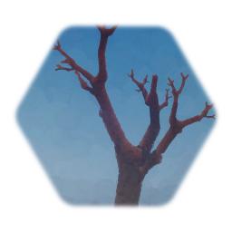 Tree no foliage