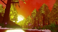 Summer Sunset