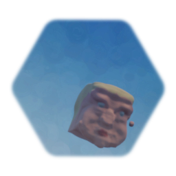 Trump head