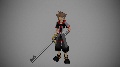 Kingdom Hearts - Character Collection