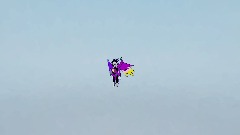 Why did you go into the Portal