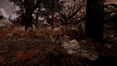 Wasteland Concept Showcase