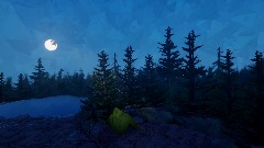 Moonlit Camp