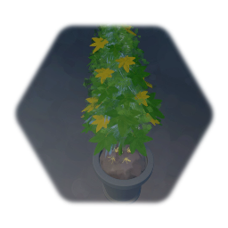 New weed