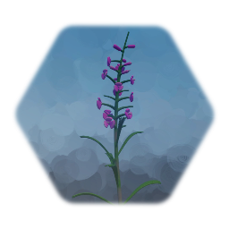 Fireweed Flower