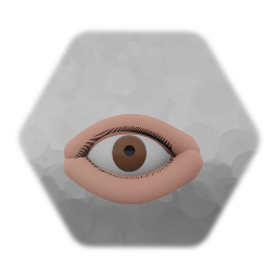 An eye