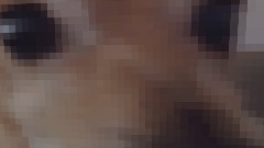 Happy birthday @Artyscritteralt!