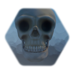 Skull